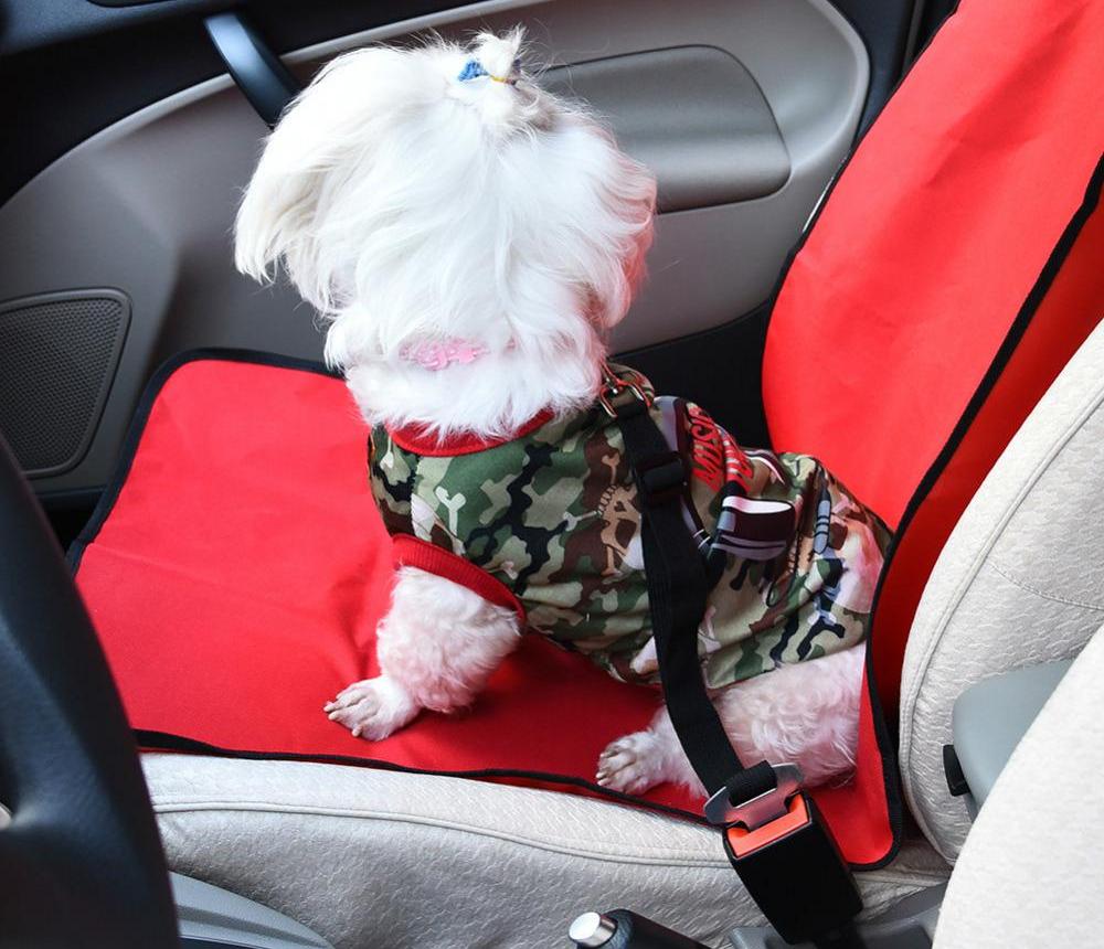 Happy Dog Coaching - Adjustable Car Dog Car Safety Belt