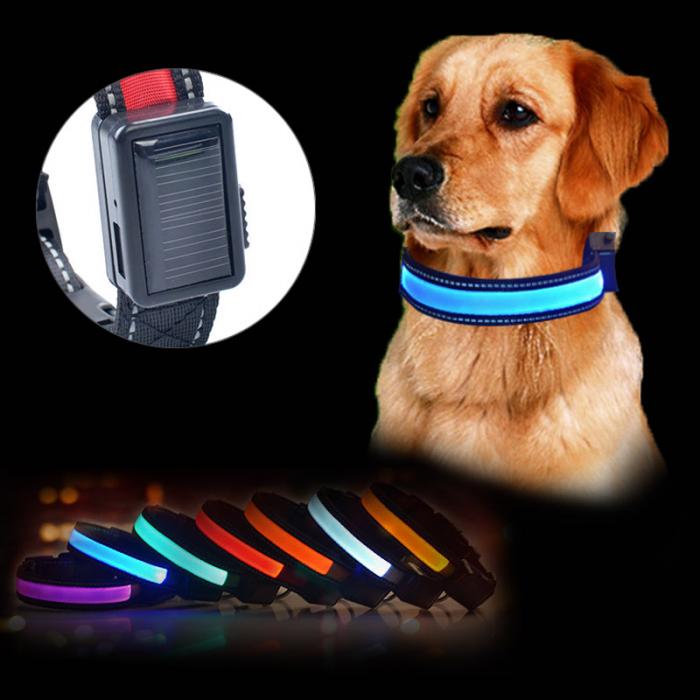 Happy Dog Coaching - Solar LED Dog Collar
